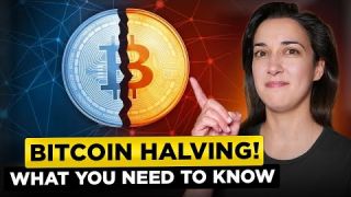 The Most Comprehensive Bitcoin and Halving Video I have ever seen